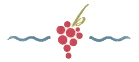 A stylized bunch of red grapes above two wavy lines.