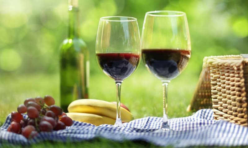 Two glasses of red wine next to a bottle, grapes, bananas, and a picnic basket on a checkered cloth in a grassy setting. Two glasses of red wine next to a bottle, grapes, bananas, and a picnic basket on a checkered cloth in a grassy setting.